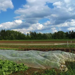 Gebr. Elmer & Zweifel Abdeckgaze Baumwolle Hot