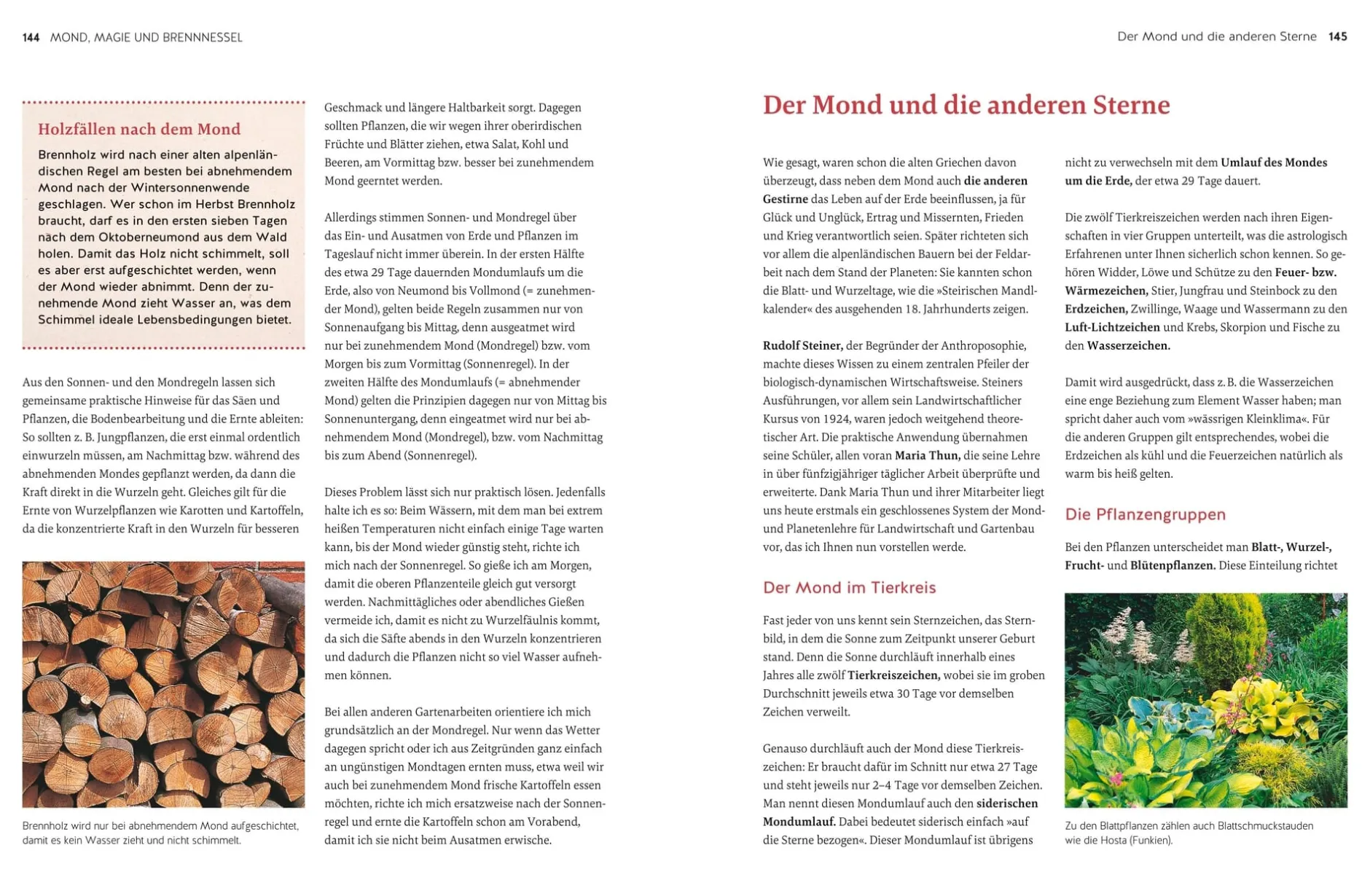 Gräfe und Unzer Verlag Altes Gärtnerwissen wieder entdeckt Online