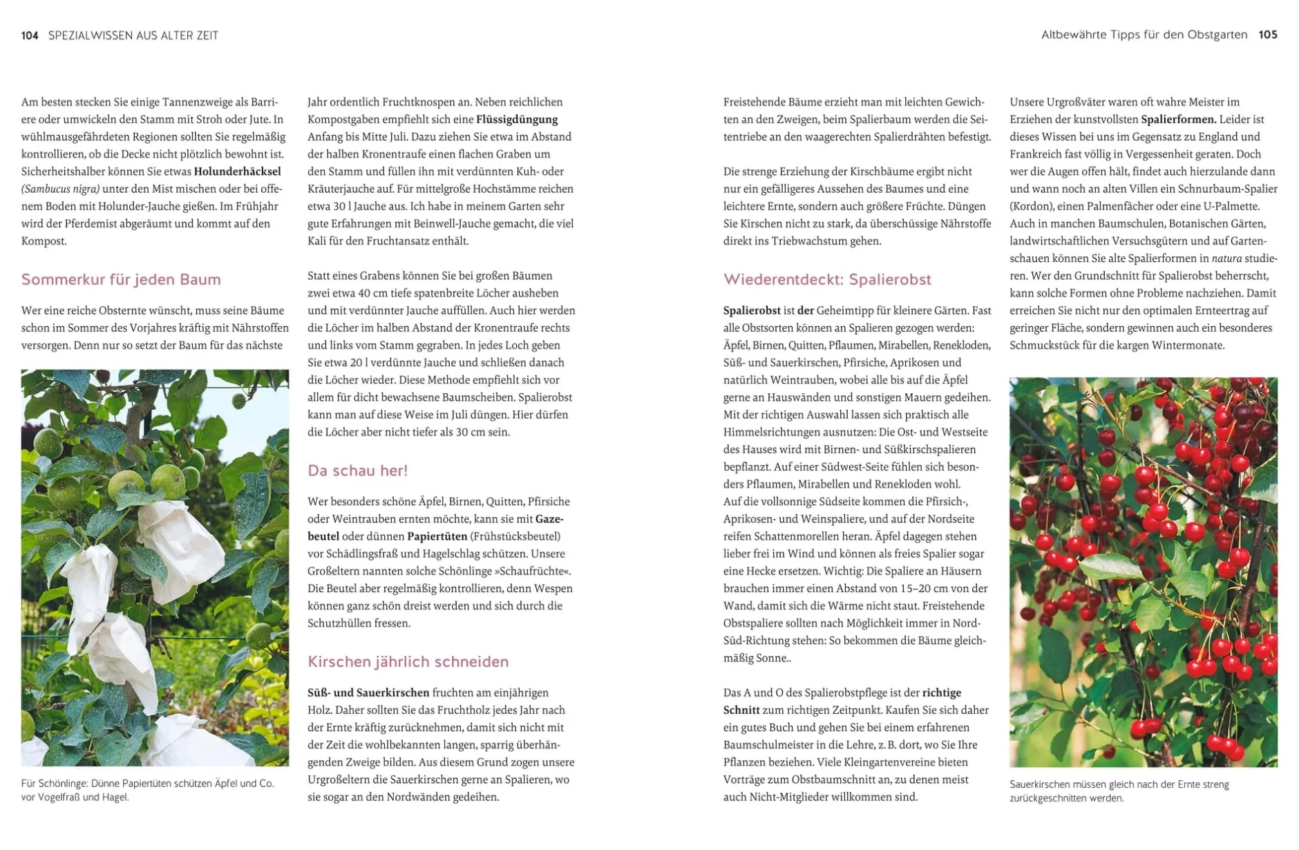 Gräfe und Unzer Verlag Altes Gärtnerwissen wieder entdeckt Online