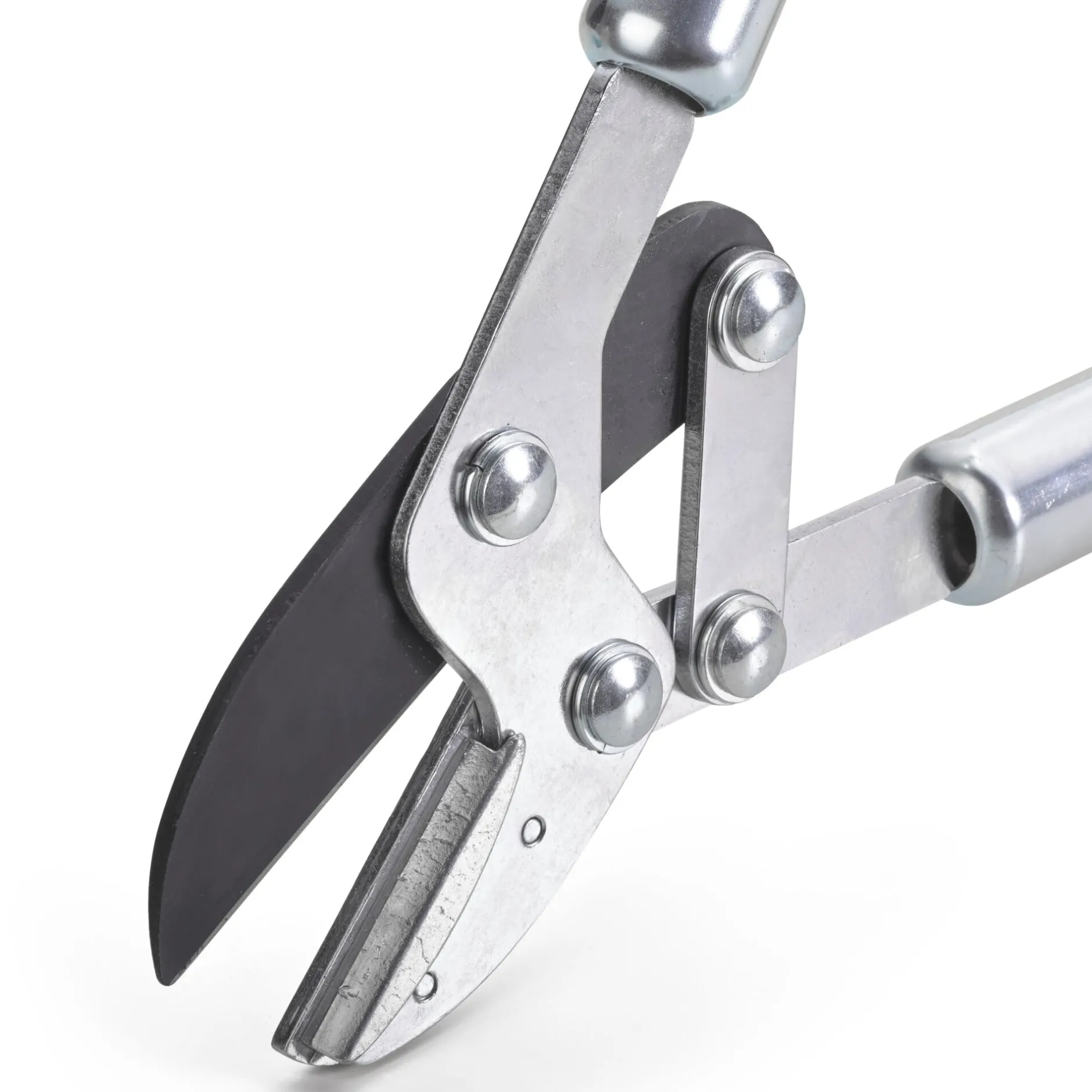 Freund Victoria Amboss-Astschere Outlet