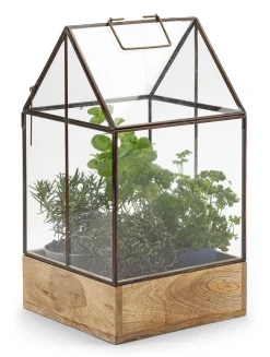 Die Stadtgärtner Anzuchtgewächshaus Glas Best