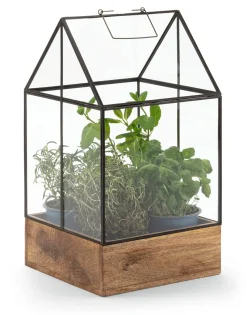 Die Stadtgärtner Anzuchtgewächshaus Glas Online