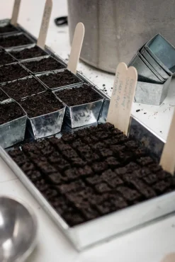 W.E.T. BY POT OLÉ ApS Anzuchtplatte mit Einzeltöpfen New