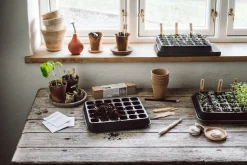 Fair Squared Anzuchtplatte Naturkautschuk New