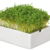 Heimgart Anzuchtset Microgreens Sale