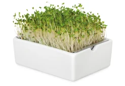 Heimgart Anzuchtset Microgreens Sale