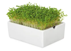 Heimgart Anzuchtset Microgreens Sale