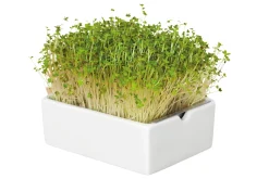 Heimgart Anzuchtset Microgreens Sale