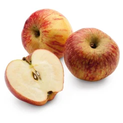 Manufactum Apfel für Allergiker Hot