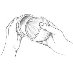 J.Porkert export-import Apfelsinenschäler New