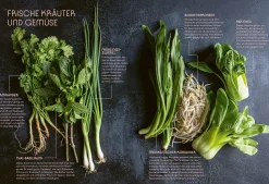 ZS - ein Verlag der Edel Verlagsgruppe Asiatische Nudelküche Outlet