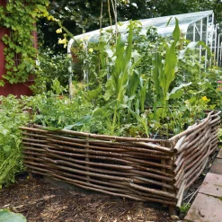 Weidenprofi Beetumrandung Hasel Sale