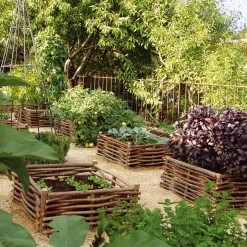 Weidenprofi Beetumrandung Hasel Sale