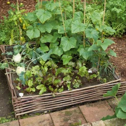 Weidenprofi Beetumrandung Hasel Best