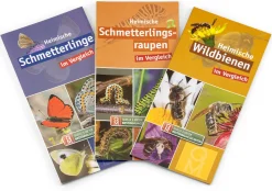 Quelle ＆ Meyer Verlag Bestimmungskarten Insekten (3 Stück)