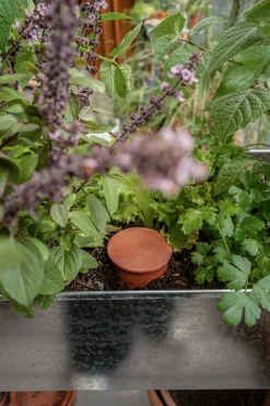 Manufactum Bewässerungstopf für Pflanzkübel Best