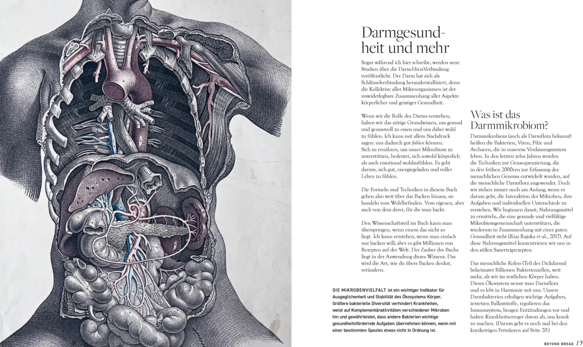 Christian Verlag Beyond Bread.
