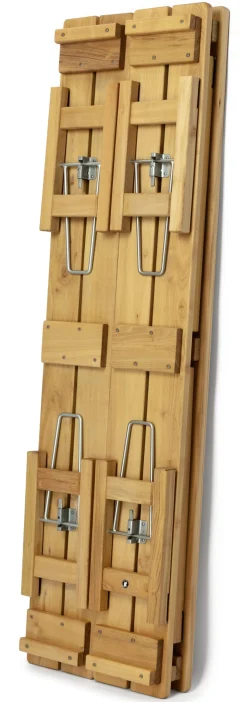 Elefant Möbel Biergartengarnitur Robinienholz