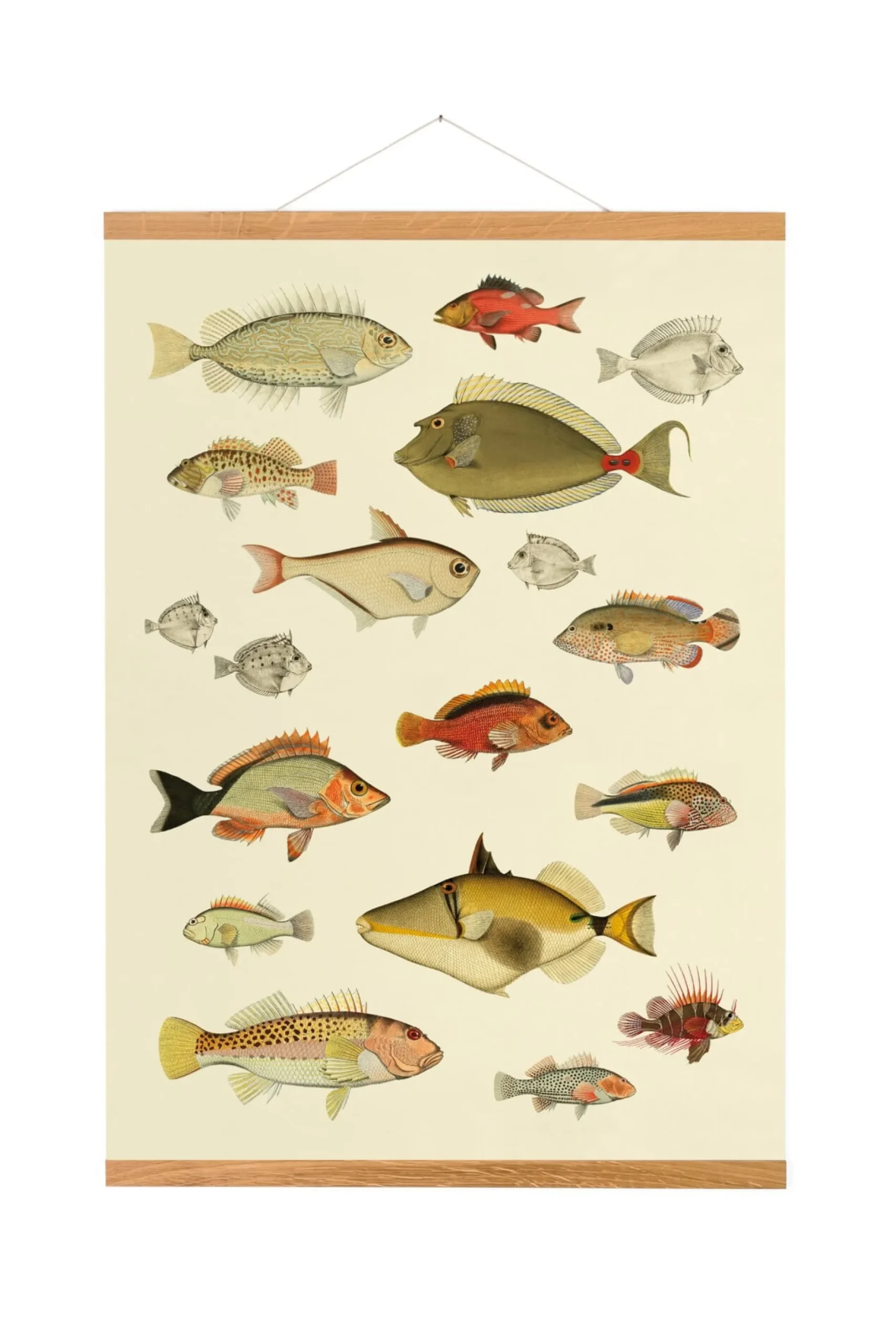 Caritas Wendelstein Werkstätten Bilderleiste Eichenholz magnetisch Best