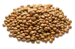 Öko- Erzeugergemeinschaft Alb-Leisa Bio-Alb-Leisa Späth’s Alblinse klein