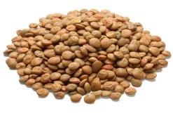 Öko- Erzeugergemeinschaft Alb-Leisa Bio-Alb-Leisa Späth’s Alblinse groß Best