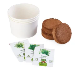 ARIES Umweltprodukte® Bio-Aussaatset Italienische Küchenkräuter Clearance