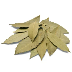 Azienda Agricola Brai Loi di Meier Hans Bio-Lorbeer aus Sardinien Hot