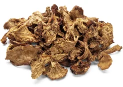 Pilze Wohlrab Bio-Pfifferlinge getrocknet Best