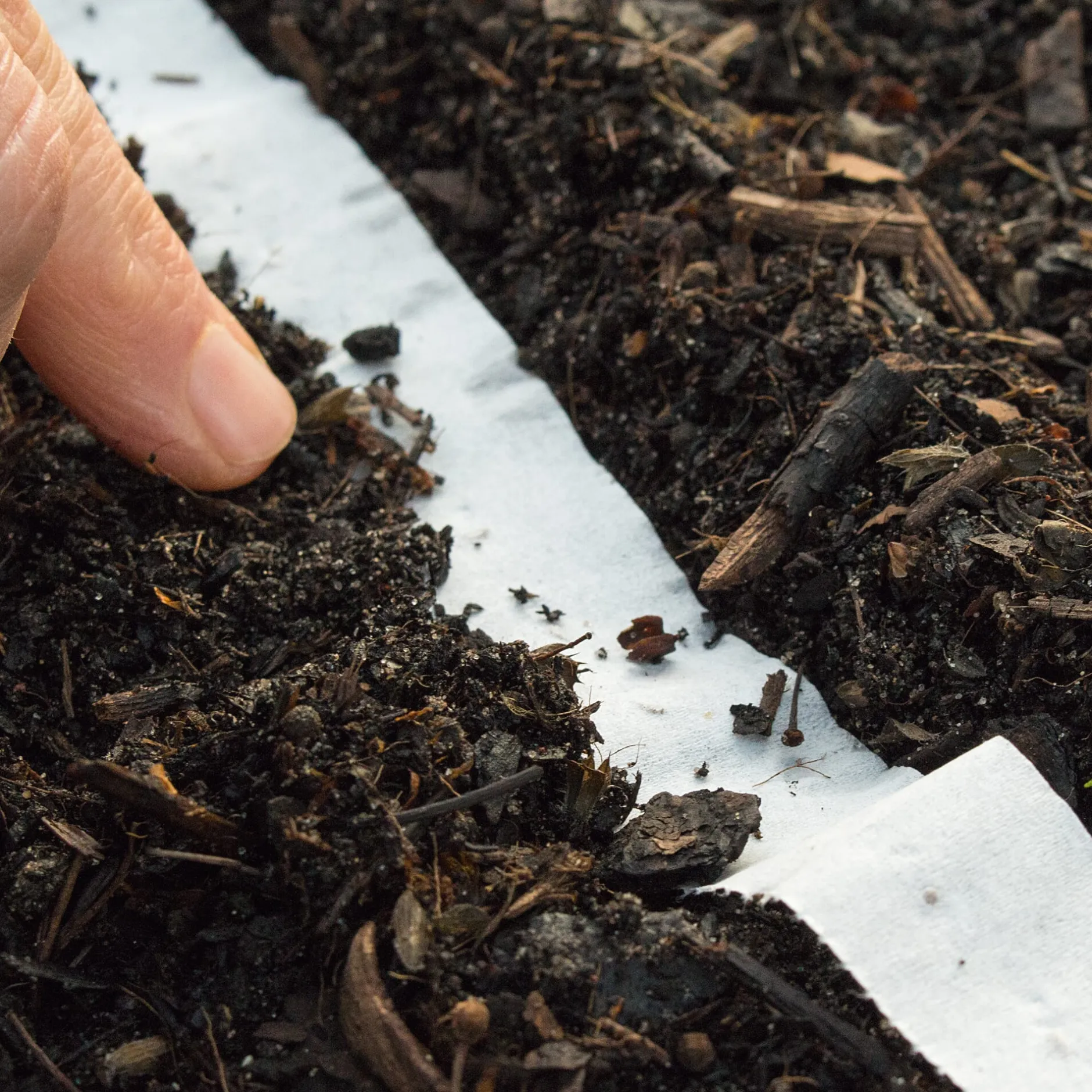 ARIES Umweltprodukte® Bio-Saatband Knabbergemüse Clearance