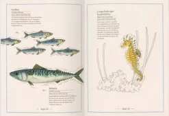 Gerstenberg Verlag Blauwal, Seestern, Oktopus Discount