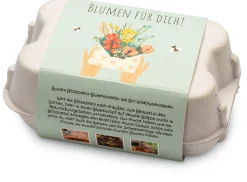 Blossombs Blumenkugeln im Geschenkkarton