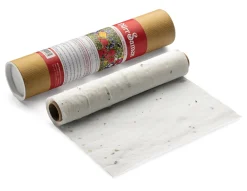 Dürr Samen Blumensaatteppich Mössinger Sommer New