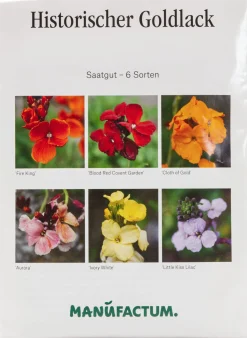 Manufactum Blumensamen Historischer Goldlack Online
