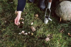 Sneeboer Blumenzwiebelpflanzer Edelstahl Clearance