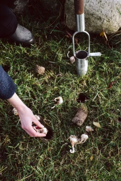 Sneeboer Blumenzwiebelpflanzer Edelstahl Clearance