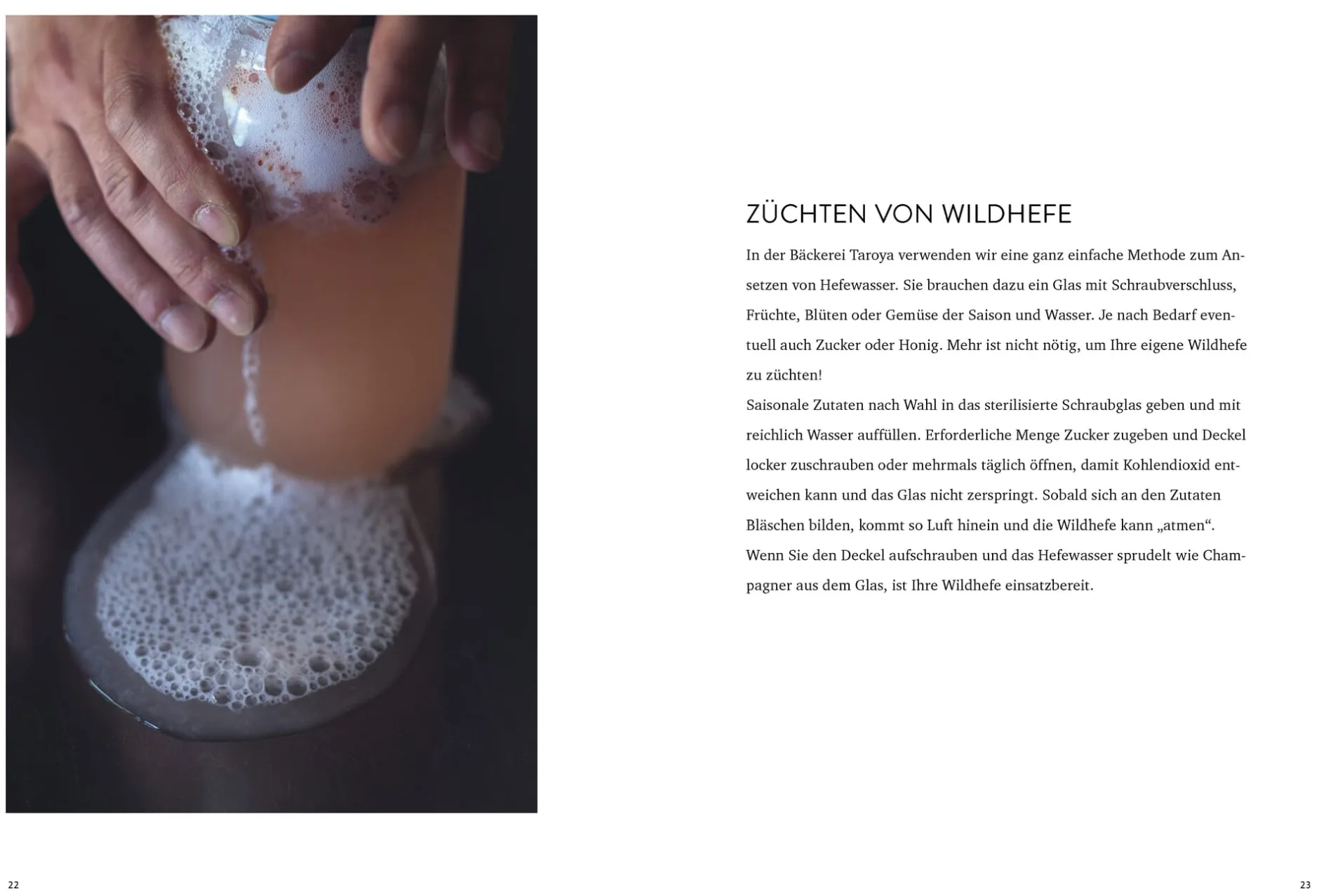 Ulmer Verlag Brot backen mit wilden Hefen Discount