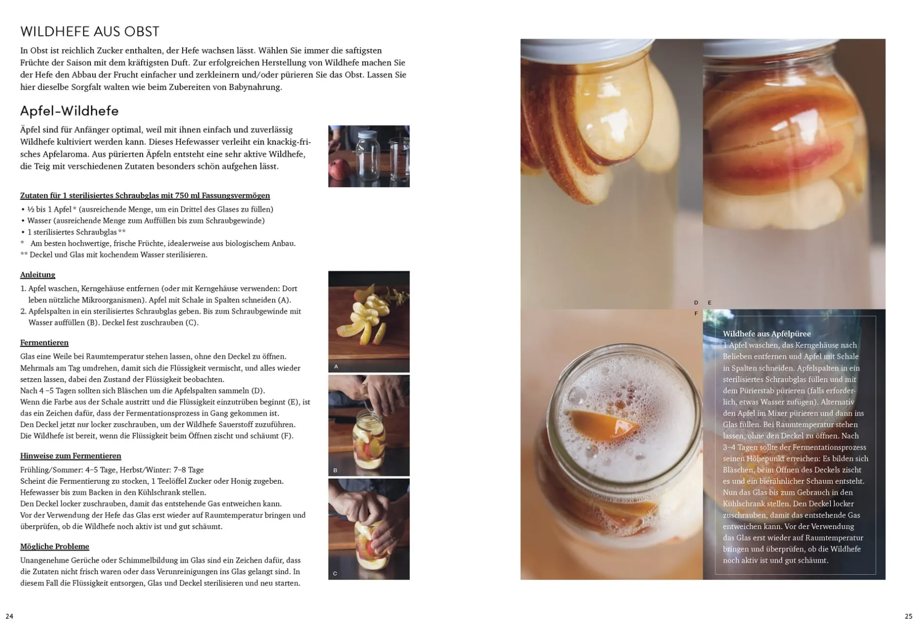 Ulmer Verlag Brot backen mit wilden Hefen Discount