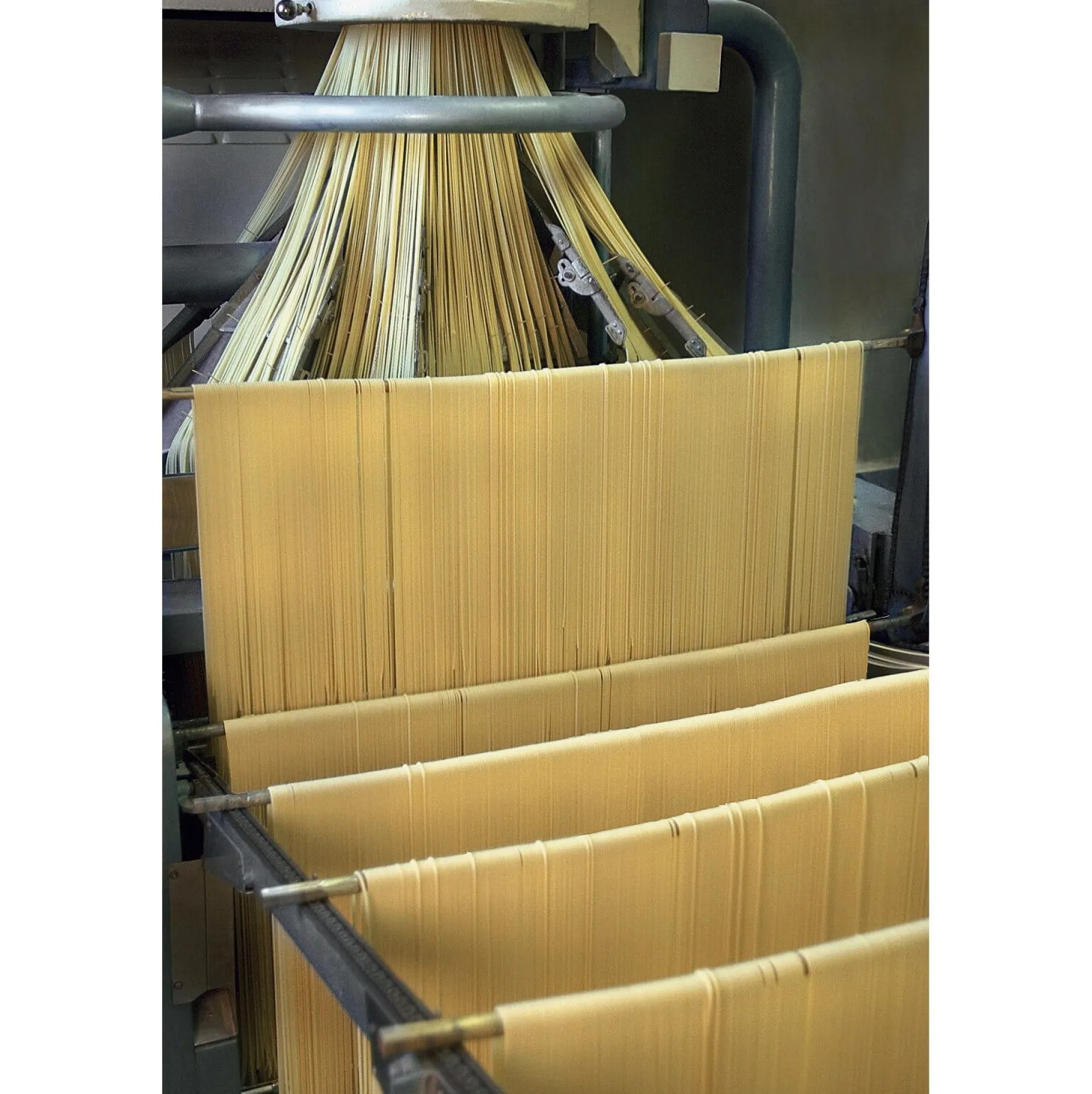 Pastificio Benedetto Cavalieri Cavalieri Spaghettoni New