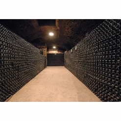 Veuve Fourny ＆ Fils Champagner Rosé Brut Sale