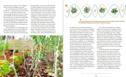 Oekom Verlag Das große Boden-Handbuch Outlet