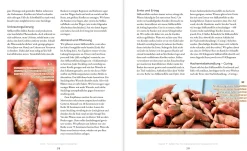 Oekom Verlag Das große Boden-Handbuch Outlet