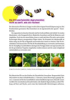 Stadelmann Verlag Das große Buch für die gesunde Haut New