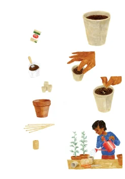 Insel Verlag Das Handbuch der vergessenen Fertigkeiten Clearance