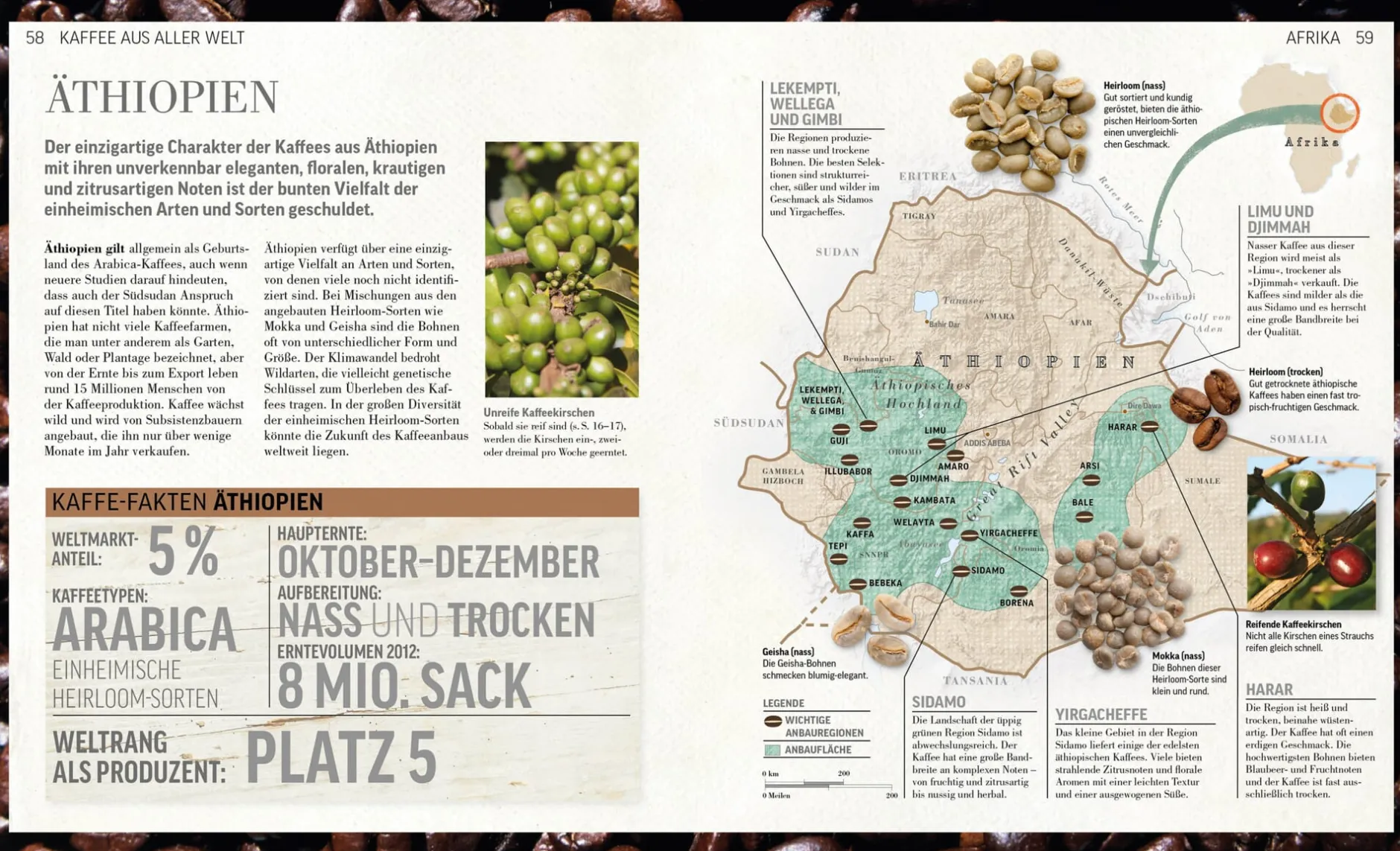 Dorling Kindersley Verlag Das Kaffee Buch Hot