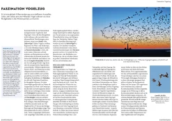 Kosmos Verlag Das NABU-Vogelbuch Hot