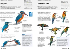 Kosmos Verlag Das NABU-Vogelbuch Hot