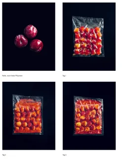 Verlag Antje Kunstmann Das Noma-Handbuch Fermentation Discount