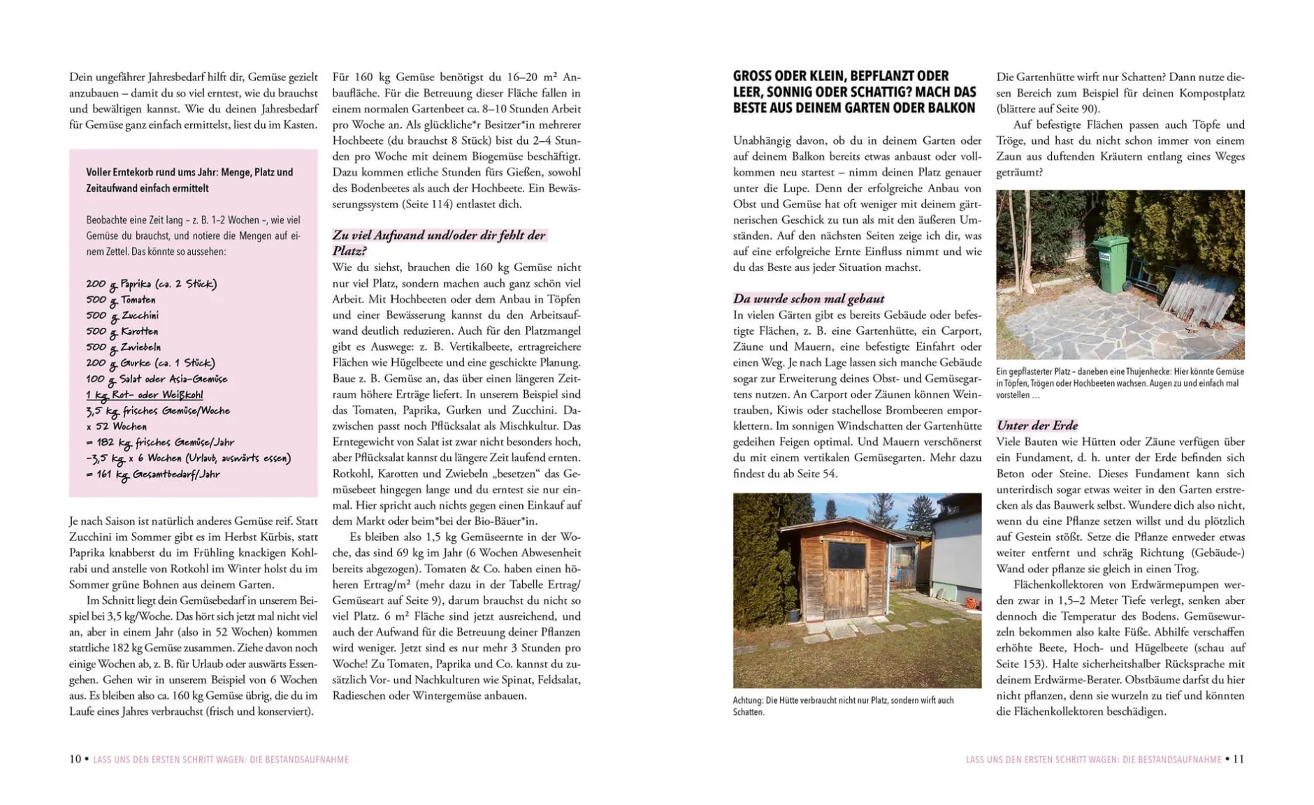 Löwenzahn Verlag Das phänomenale Erntebeet Outlet