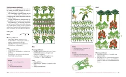 Löwenzahn Verlag Das phänomenale Erntebeet Outlet