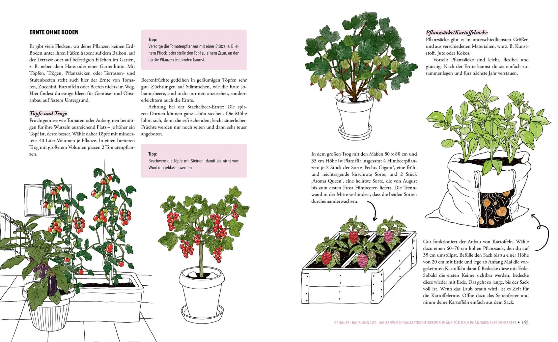 Löwenzahn Verlag Das phänomenale Erntebeet Outlet